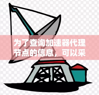 为了查询加速器代理节点的信息，可以采取以下步骤