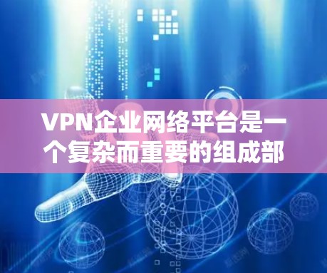 VPN企业网络平台是一个复杂而重要的组成部分，帮助企业保护内部数据和资源安全。以下是对VPN企业网络平台的详细分析