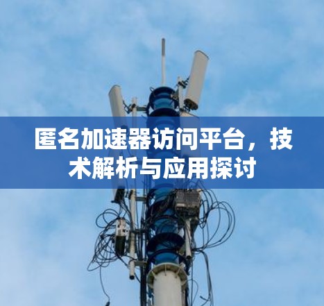 匿名加速器访问平台，技术解析与应用探讨