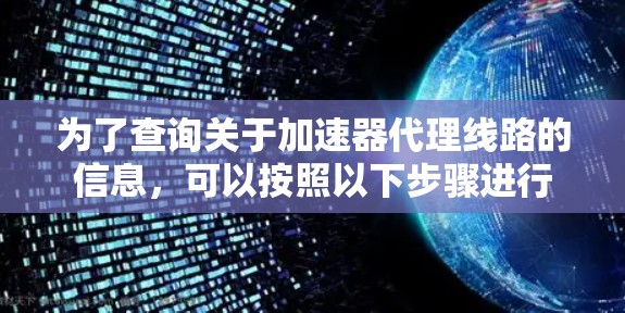 为了查询关于加速器代理线路的信息，可以按照以下步骤进行