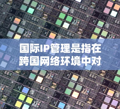 国际IP管理是指在跨国网络环境中对IP地址和网络配置进行有效管理的过程，特别是在使用加速器等网络设备时，确保网络的高效运行和安全性。以下是一些与国际IP管理相关的关键点和建议
