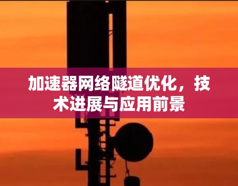 加速器网络隧道优化，技术进展与应用前景