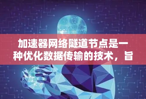 加速器网络隧道节点是一种优化数据传输的技术，旨在通过创造高效的网络路径来加速数据的流动。以下是对该技术的详细解析