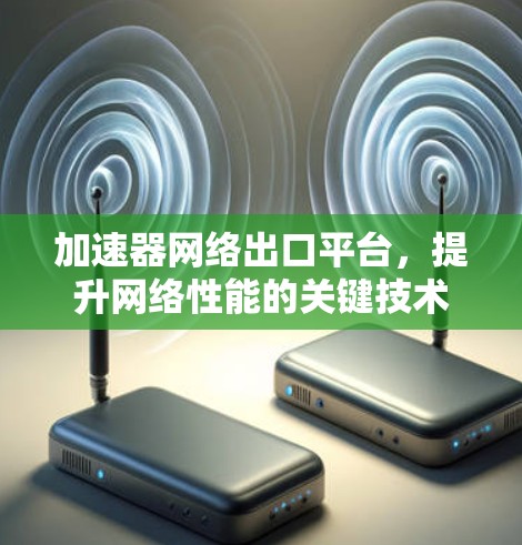 加速器网络出口平台，提升网络性能的关键技术