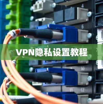 VPN隐私设置教程