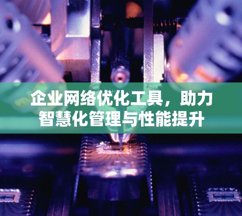 企业网络优化工具，助力智慧化管理与性能提升