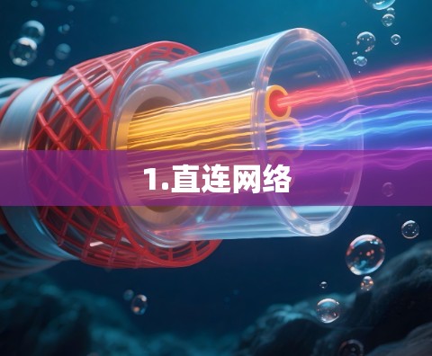 1.直连网络