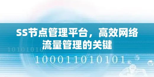 SS节点管理平台，高效网络流量管理的关键