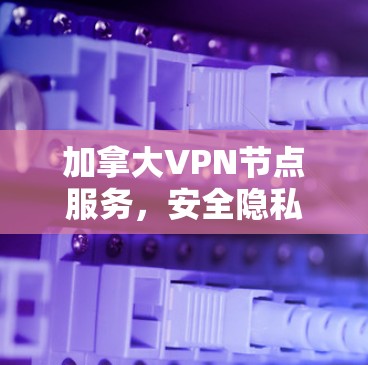 加拿大VPN节点服务，安全隐私保护的最佳选择