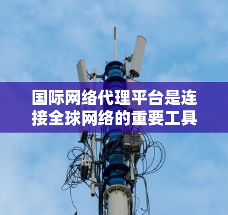 国际网络代理平台是连接全球网络的重要工具，帮助企业和个人进行跨境数据传输、云服务、内容分发等。以下是对国际网络代理平台的详细分析和结论