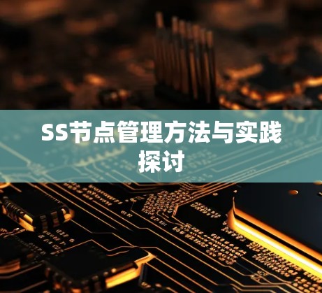 SS节点管理方法与实践探讨