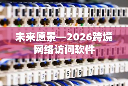 未来愿景—2026跨境网络访问软件