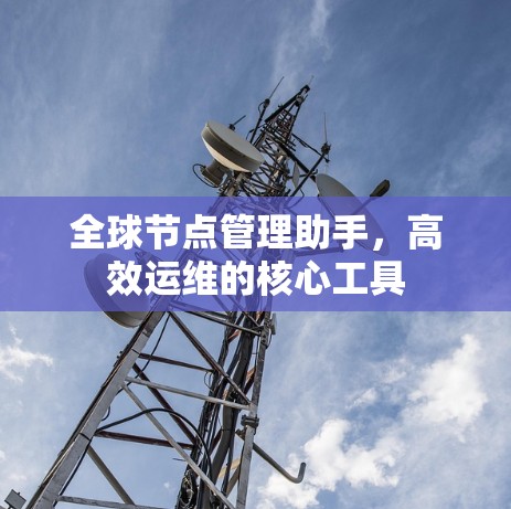 全球节点管理助手，高效运维的核心工具