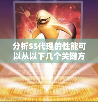 分析SS代理的性能可以从以下几个关键方面入手