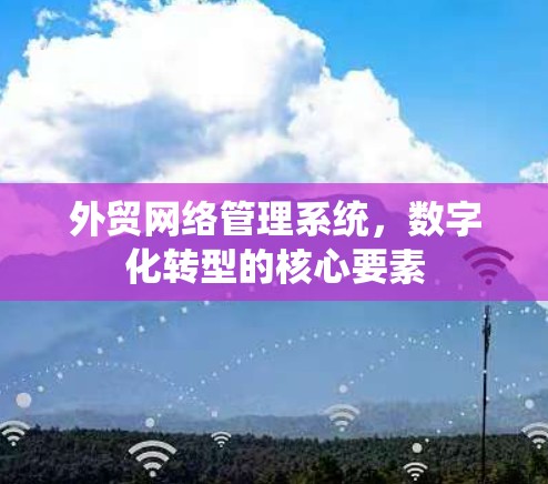 外贸网络管理系统，数字化转型的核心要素