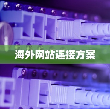 海外网站连接方案