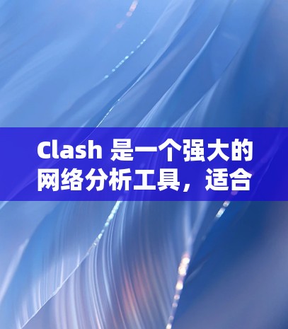 Clash 是一个强大的网络分析工具，适合需要全面分析和可视化网络架构的场景。以下是对 Clash 的详细分析和总结