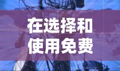 在选择和使用免费VPN服务以确保连接稳定性的过程中，您可以按照以下步骤进行