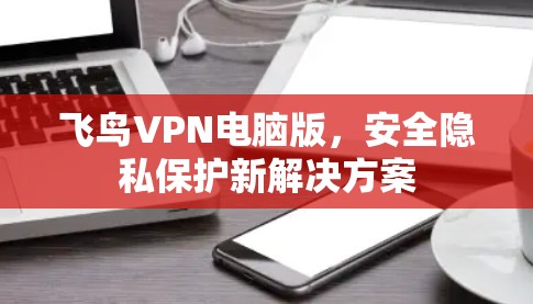 飞鸟VPN电脑版，安全隐私保护新解决方案