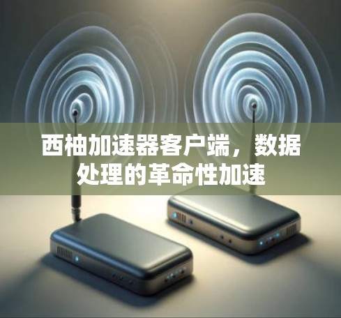 西柚加速器客户端，数据处理的革命性加速