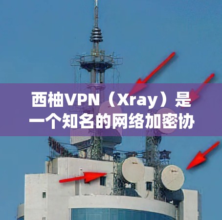西柚VPN（Xray）是一个知名的网络加密协议，旨在提供匿名和安全的互联网连接。关于西柚VPN的速度分析，可以从以下几个方面进行讨论