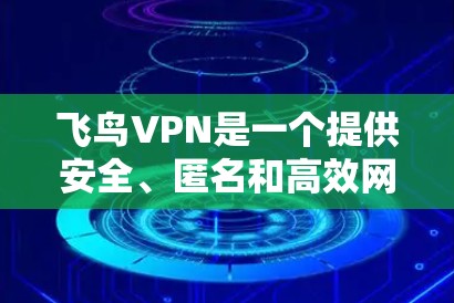 飞鸟VPN是一个提供安全、匿名和高效网络连接服务的工具，用户可以通过多种方式连接到VPN网络。以下是飞鸟VPN的主要连接方法
