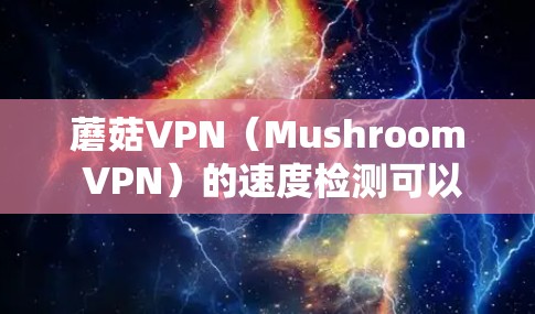 蘑菇VPN（Mushroom VPN）的速度检测可以通过以下步骤来实现