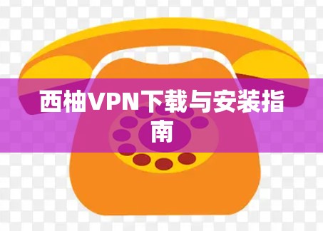 西柚<strong>VPN下载</strong>与安装指南