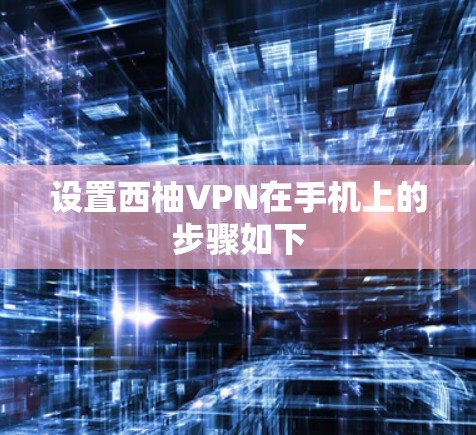 设置西柚VPN在手机上的步骤如下