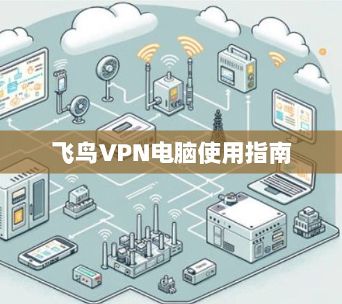 飞鸟VPN电脑使用指南