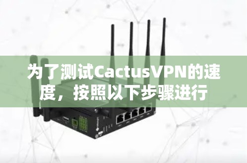 为了测试CactusVPN的速度，按照以下步骤进行