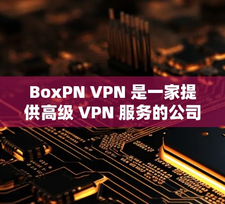 BoxPN VPN 是一家提供高级 VPN 服务的公司，其功能涵盖了多个方面，以满足用户的隐私保护和网络安全需求。以下是 BoxPN VPN 的主要功能介绍