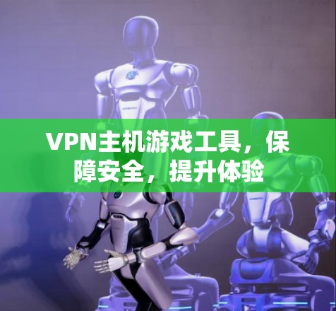 VPN主机游戏工具，保障安全，提升体验