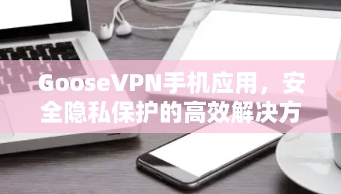 GooseVPN手机应用，安全隐私保护的高效解决方案