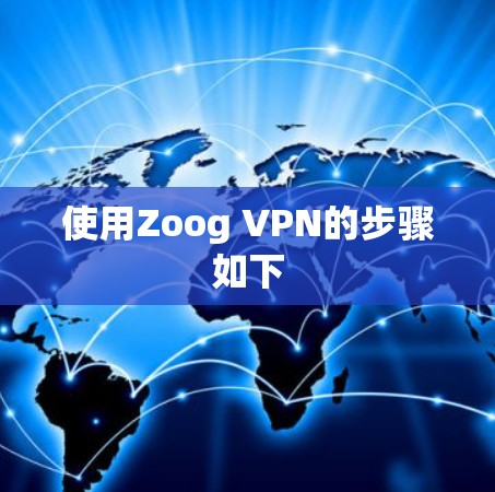 使用Zoog VPN的步骤如下