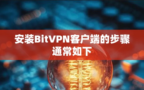 安装BitVPN客户端的步骤通常如下