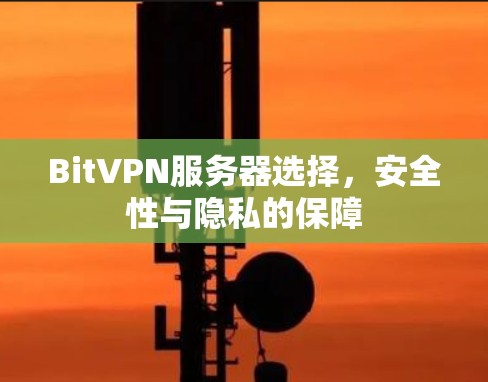 BitVPN服务器选择，安全性与隐私的保障